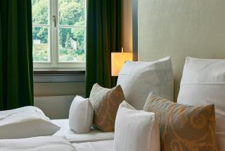Hotel Elbresidenz an der Therme - Bad Schandau - 4
