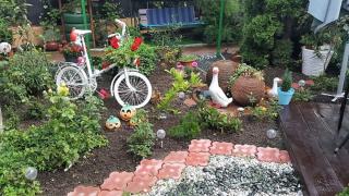 Hotel Roxy & Maryo - Eforie Nord - 6