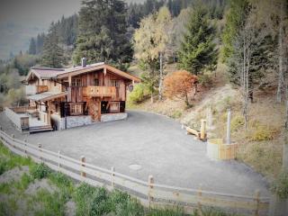 Almhütte Lengau - Saalbach-Hinterglemm - 0