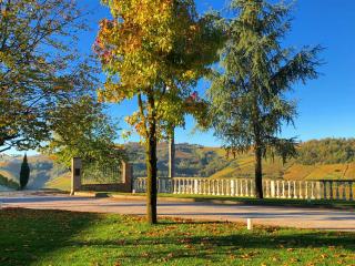 Panoramic Villa Garassino - country rooms and fine restaurant - Treiso - 4
