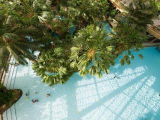 Hotel Bispinger Heide by Center Parcs - Bispingen - 3
