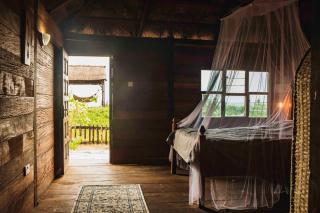 Bees Mouth Gambia - 0