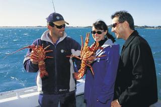 Robetown Motor Inn & Apartments - 3