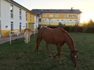 i-Motel - Obertshausen - 9