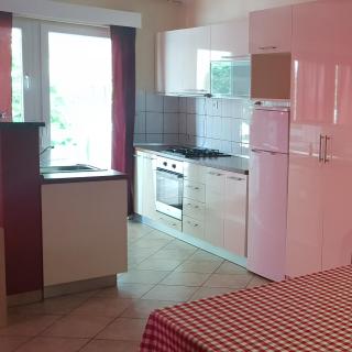 Pool Apartment Knezevic - Novalja - 2