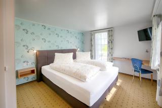 Hotel Frohe Aussicht - Weissbad - 9