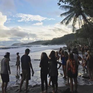 Luminosa Montezuma Hostel - 2