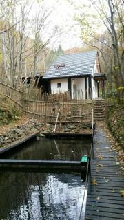 Cabana Crenguta - Sibiu - 5