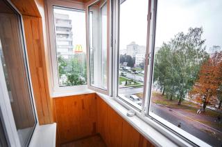 VIP-flat in the center of Vishenka - 1