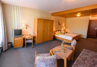 Landhotel Henkenhof Willingen - Willingen - 5