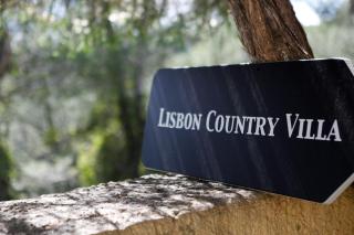Lisbon Country Villa - Oeiras - 8