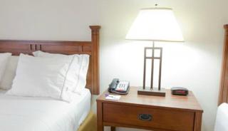 Holiday Inn Express Hotel & Suites Mattoon by IHG - Mattoon - 5