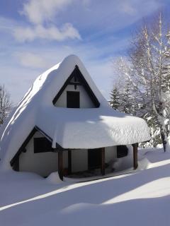 Holiday house Nature - Ravna Gora - 7
