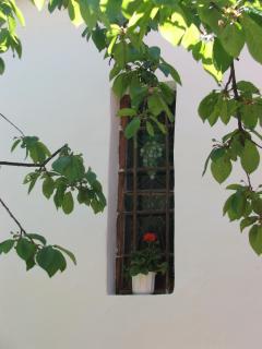 Bozi Rozi Panzió - 5