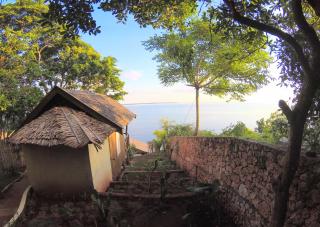 Cosmos Bungalows - 2