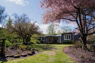 Mahaanui Cottage Farmstay - Tiniroto - 8