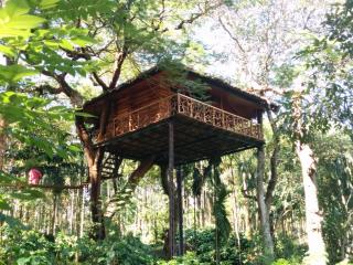 Tranquil Resort - Blusalzz Collection, Wayanad - Kerala - Ambalavayal - 5