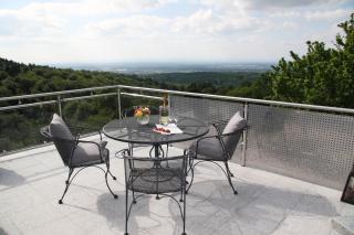 Apartment Sonnenterrasse - Baden-Baden - 0