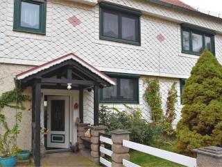 Holiday flat in Ernstroda near a ski resort - Friedrichroda - 4