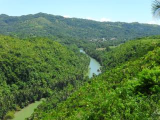 Nuts Huts - Loboc - 6