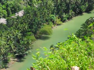 Nuts Huts - Loboc - 7