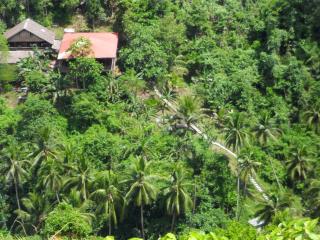 Nuts Huts - Loboc - 8