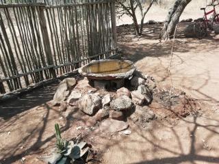 Bushbaby Eden - Marloth Park - 2