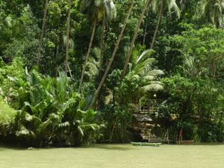 Nuts Huts - Loboc - 5