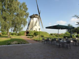 Landgasthaus Zur Mühlenwirtin - Petershagen - 0