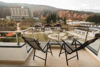 Studio Mountain View - Sinaia - 6