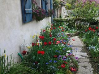 Chambres d'Hôtes Aroha - Sorde-lʼAbbaye - 3