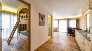 ALMA mountain residence - Dobbiaco - 2
