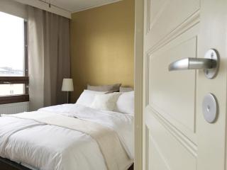 Roost Lapinrinne - Helsinki - 7