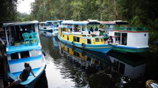 houseboat kelotok bee - 3