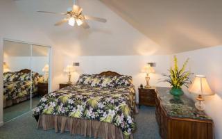 The Cozy Inn - St. Augustine - 6