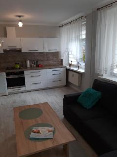 Apartament Przy Lesie - Augustów - 9