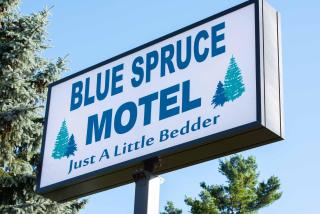 Blue Spruce Motel - Massena - 9