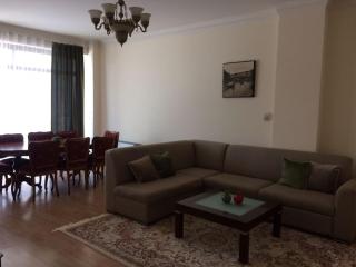 Metro Old Town.Apartment - Baku - 7