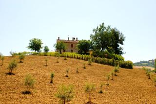 Il Casale di Giovanna - Offida - 8