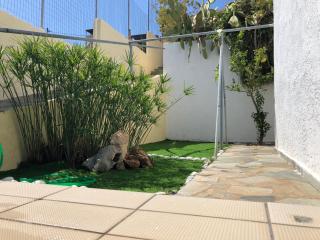 Family Apartment Ammoudi with shared mini-pool - 6