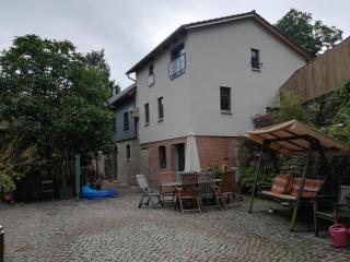 Ferienhof"WaldEsel Rippersroda" - Rippersroda - 9