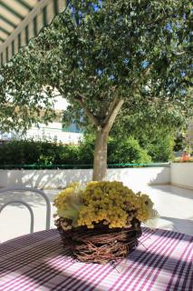 Apartments Pino - Makarska - 9