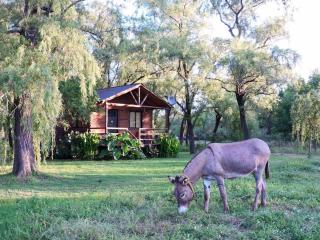 Carpe Diem - Ramallo - 3