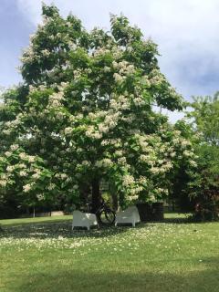 La Taverna Fra Le Colline - Arezzo - 3