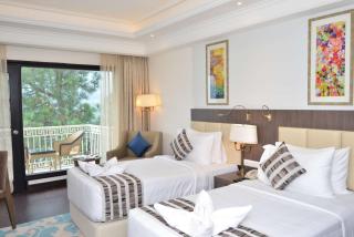 Ramada by Wyndham Kasauli - Kasauli - 8