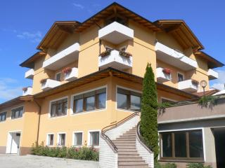 Hotel & Appartamenti Al Larice - Ronzone - 1