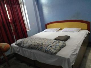 Hotel Narayan Palace - Amarsar - 2