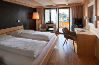 Hotel Alphorn - Gstaad - 4