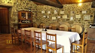 Enoturismo Lagar De Costa - 1