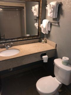 Latham Inn - Latham - 2